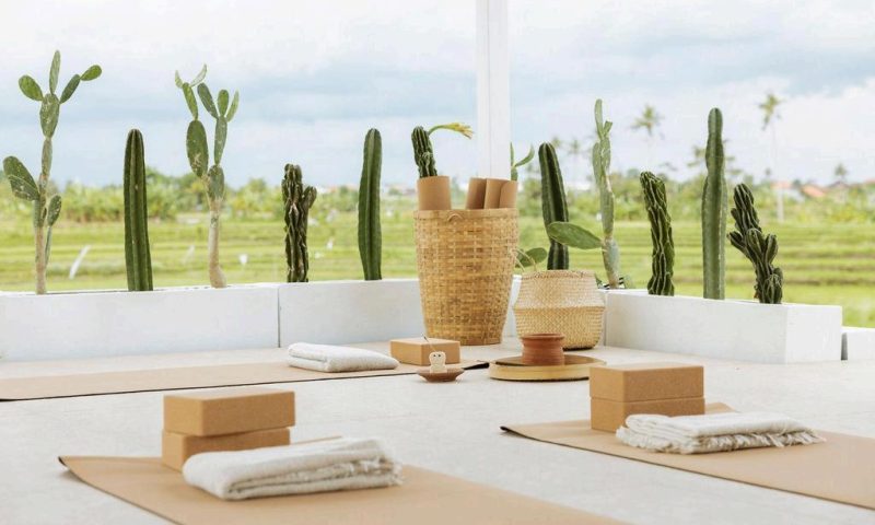 A bright, open meditation space with views of nature