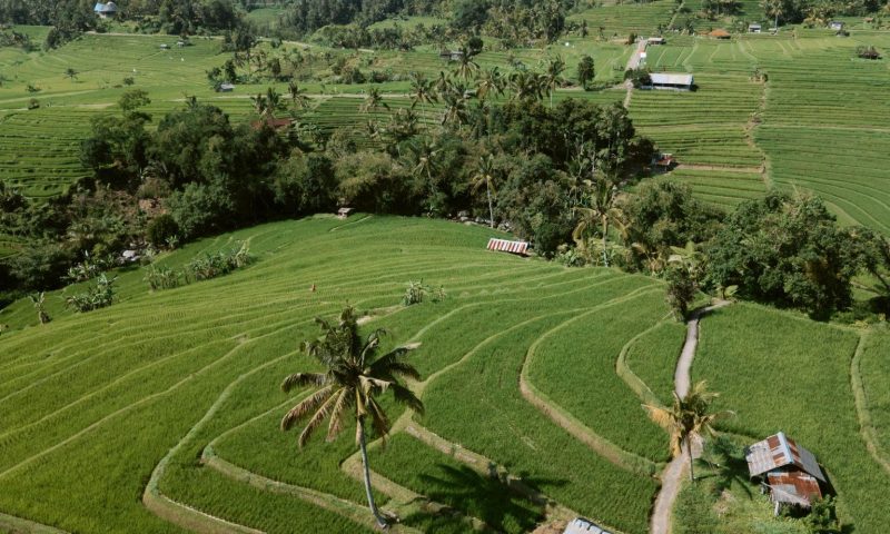 Aerial view of the Jatiluwih Rice Terraces